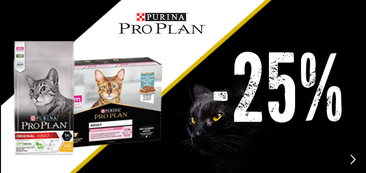 Black friday 2024 pro plan cat